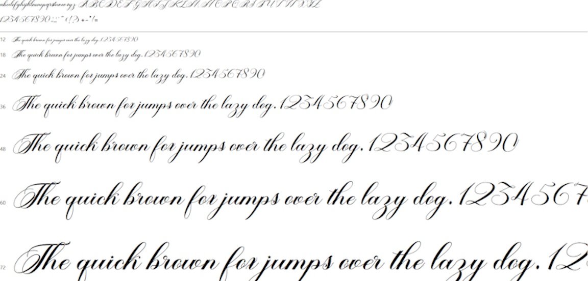 Aleycha | Calligraphy Typeface product image (2)