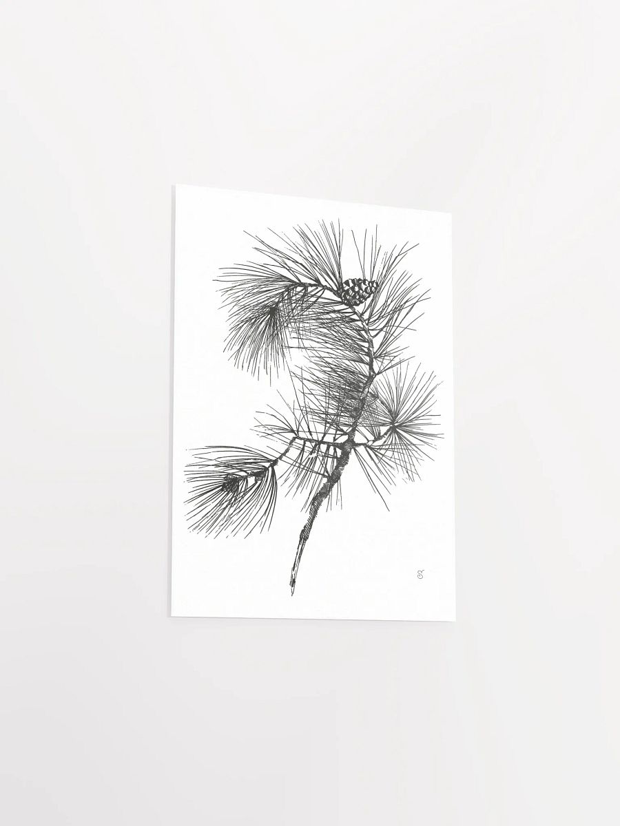 Whimsical Pine Branch Poster - Pine Branch product image (3)