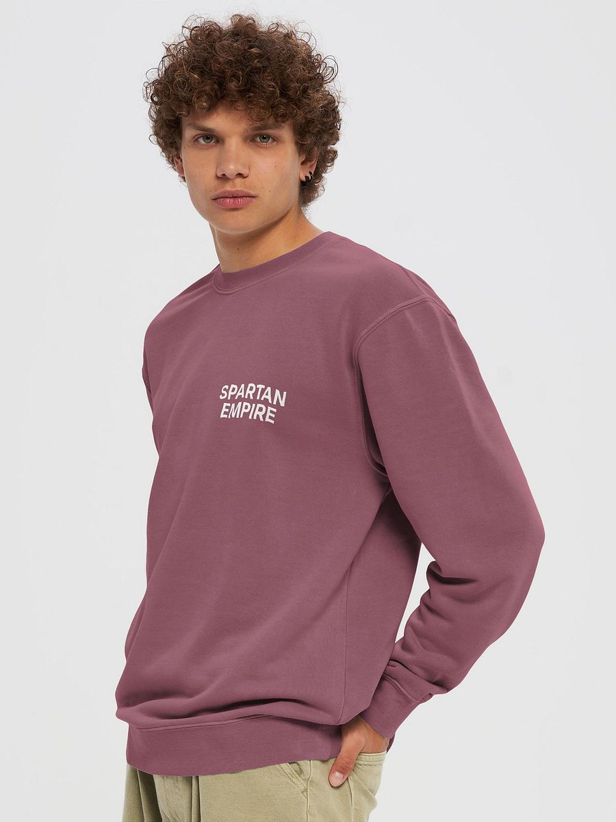 The Elite Sweater (Maroon / White) product image (2)