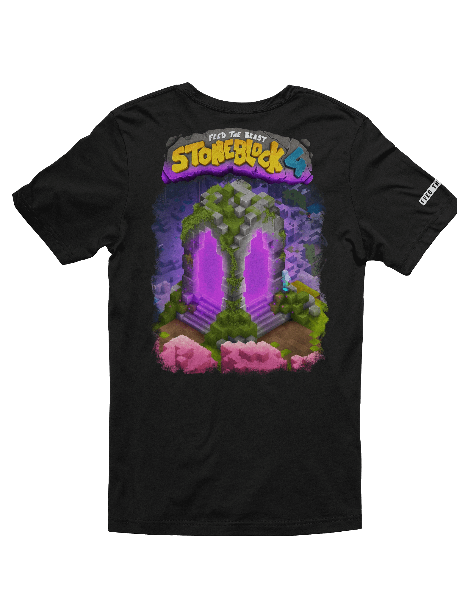 SB4 T-Shirt: FTB product image (2)