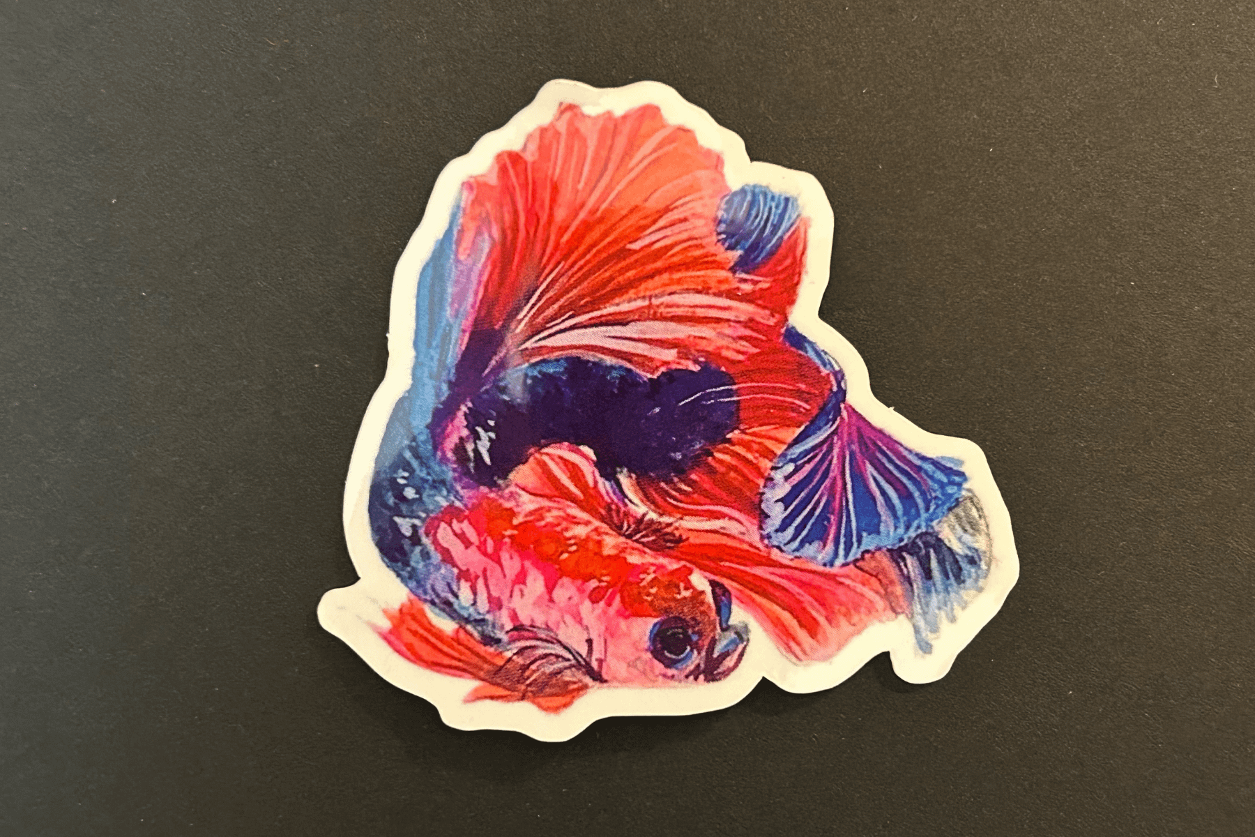 Beta Buddy Vinyl Sticker product image (1)