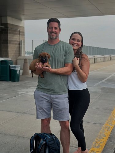 Thank you, Clint and Sarah for trusting us with your second Big Bully Nation pup. @simaxwell1 

🐾 
🐾
🐾
🐾
🐾
#mastiff #mastiffs...