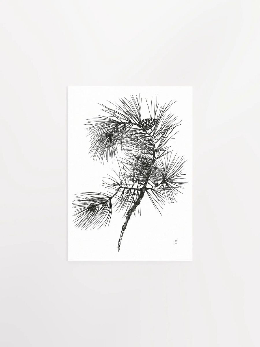 Whimsical Pine Branch Poster - Pine Branch product image (1)