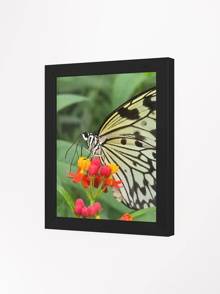 Paper Kite Tropical Butterfly Framed Poster product image (1)