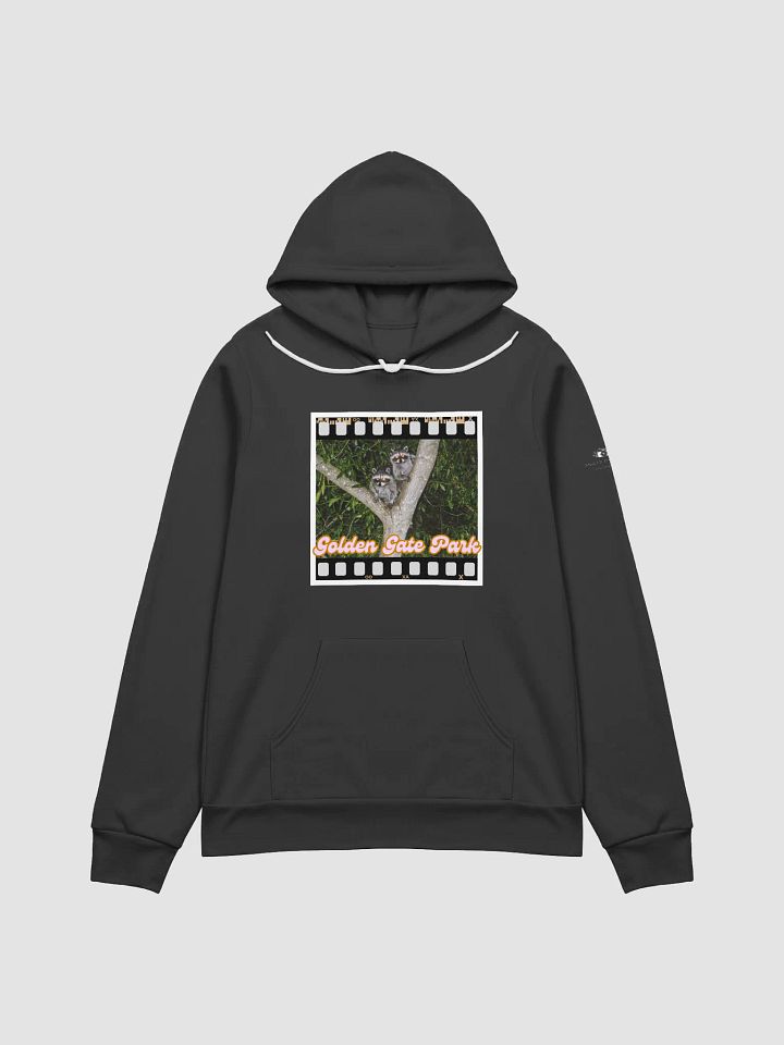 Golden Gate Park Raccoons Super Soft Hoodie (Black) product image (1)