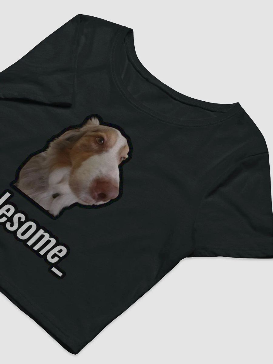 holesome Biggie crop top product image (13)