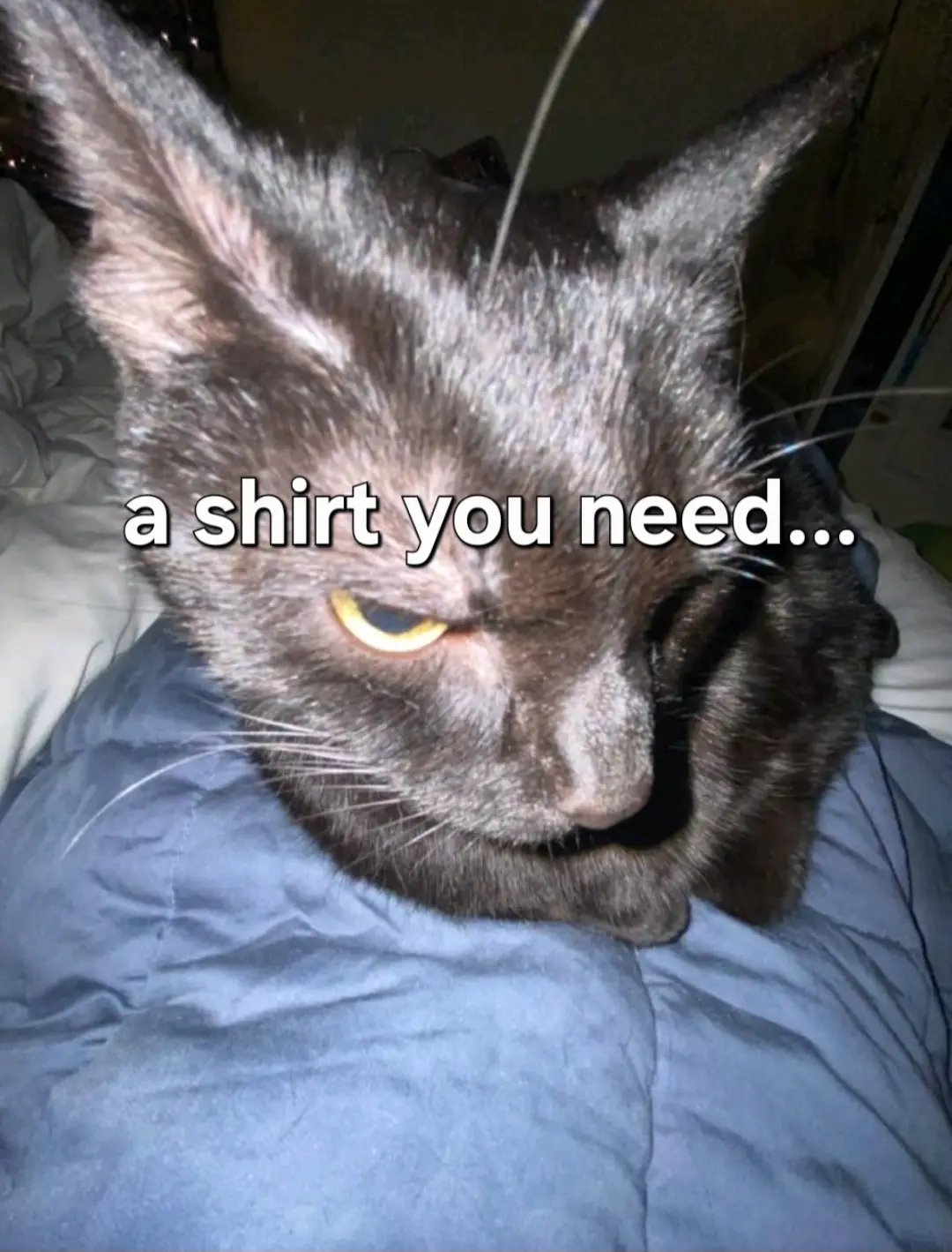 Get this from my shop! (Link in bio) #funnyshirts #offensiveshirts #memes #reels #funny 