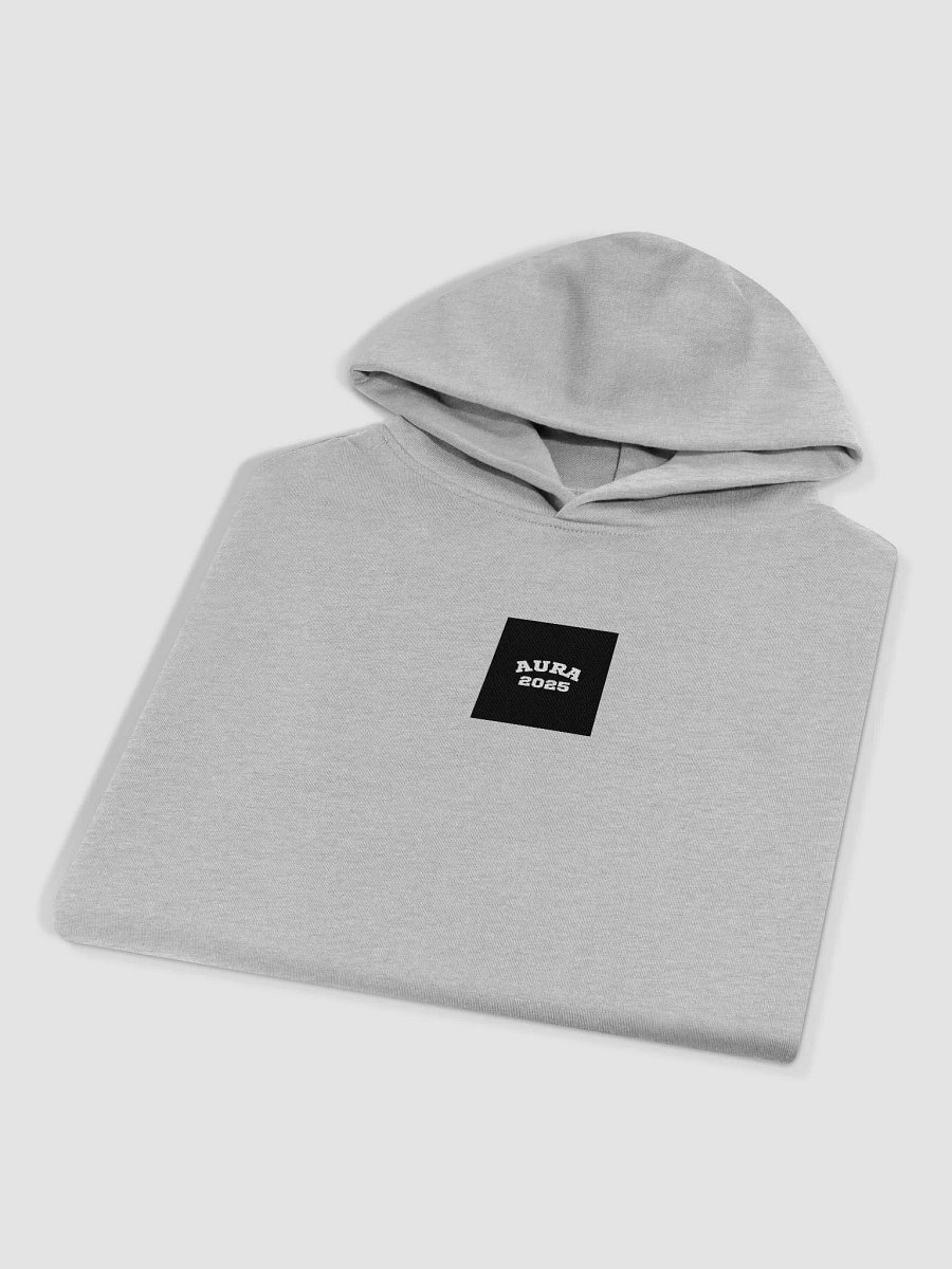 2025 AURA Oversized Hoodie product image (16)