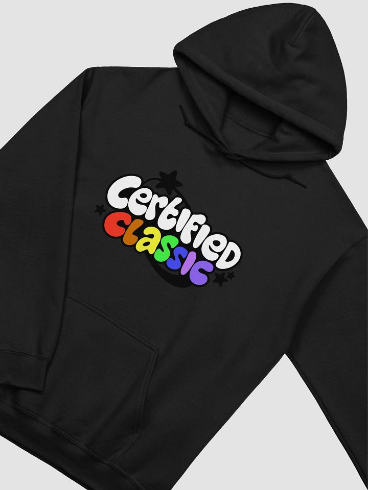 CERTIFIED CLASSIC HOODIES (PRIDE EDITION LIGHT) product image (16)