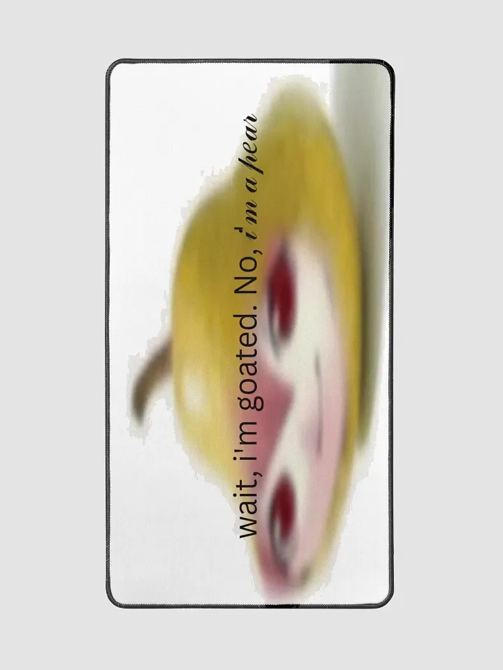 tf is this product image (2)