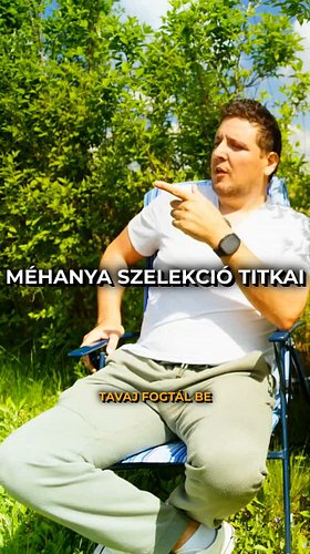 Hogyan Kerüld a Rajzást? 🐝 

#méhészet #rajzás #méhek #méhanya #rajok #méhészetitippek #méhcsalád #rajbölcső #me...