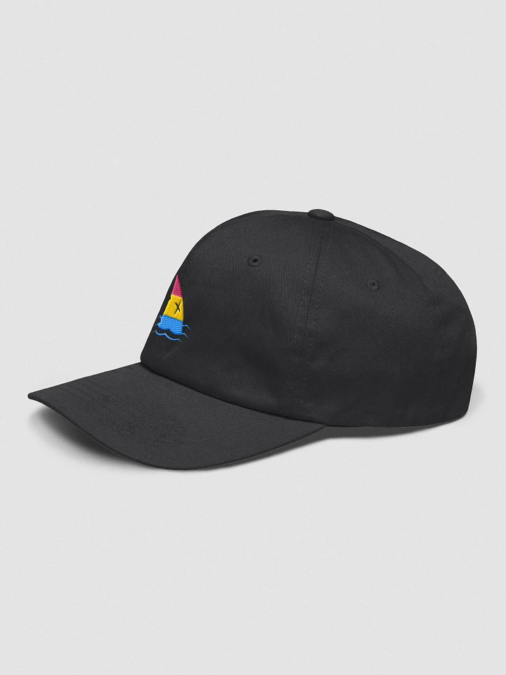 Pan Pride Embroidered Hat product image (2)