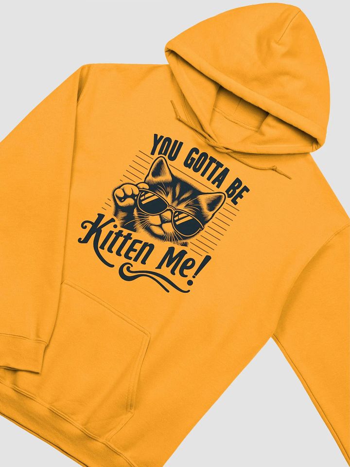 you gotta be kitten me Hoodie product image (10)
