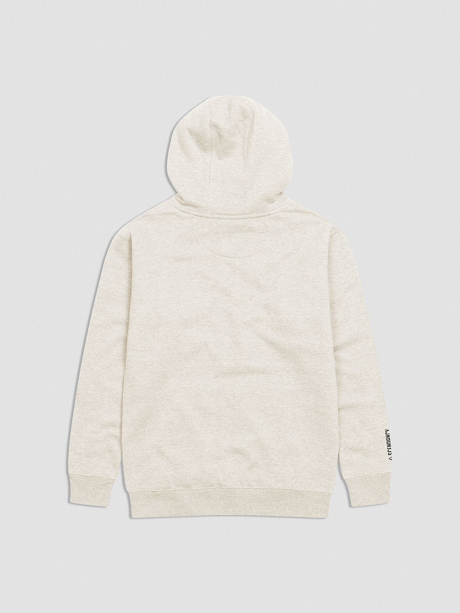 ASCENDANCY Premium Hoodie // Embroided Logo Black product image (15)