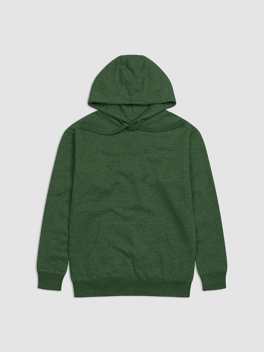 DTN Hoodie product image (2)