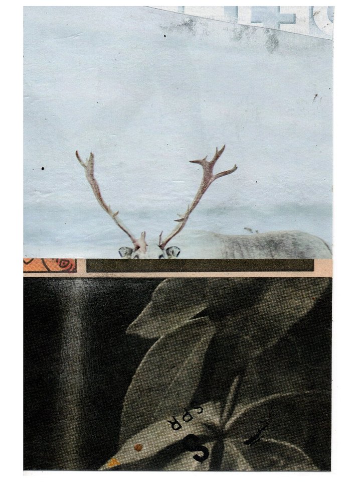a concomitant of the process product image (1)