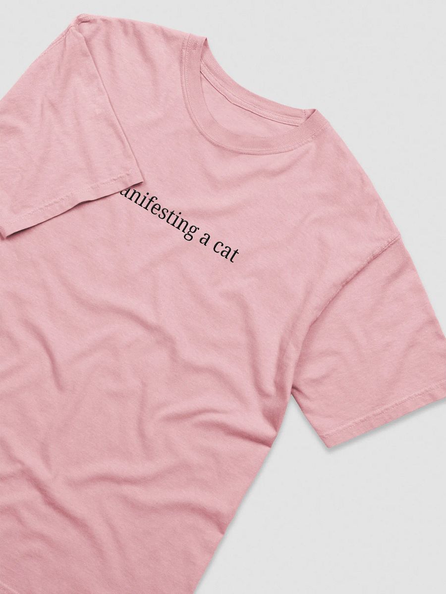 Manifesting A Cat - Tee product image (2)