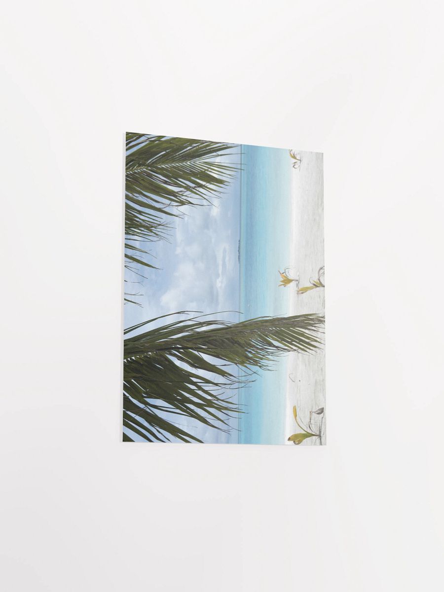 Maldives palm trees - Enhanced Matte Paper Poster product image (9)