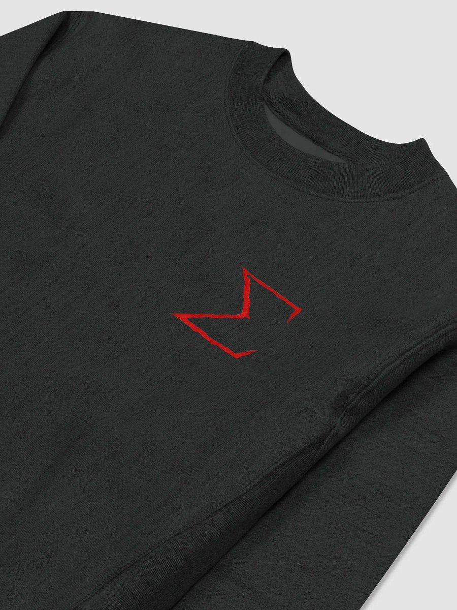 Champion x Epsilon Embroidered Sweatshirt product image (3)