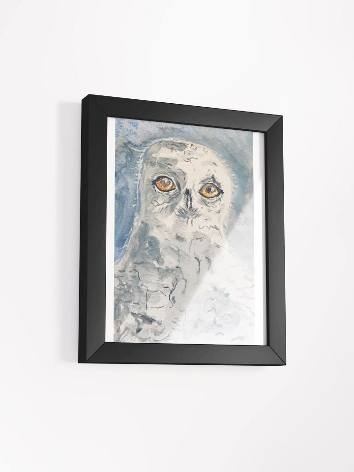 White Owl product image (5)