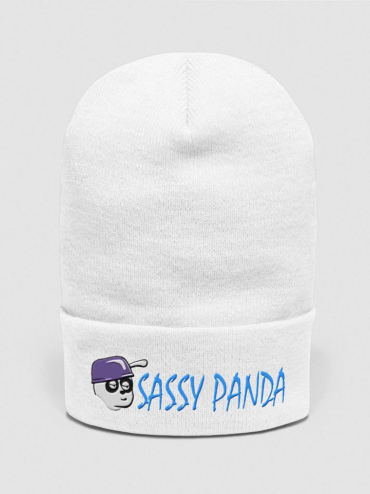 Sassy Panda Beanie product image (2)