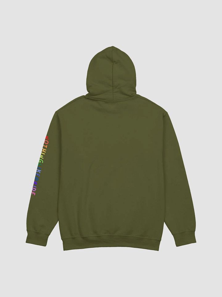 Pansexual Pride Hoodie product image (15)