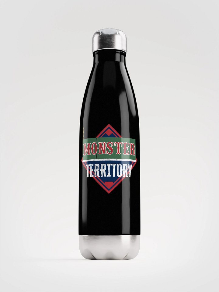 Stainless Steel Water Bottle product image (1)