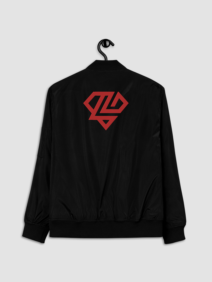 LFG Bomber Jacket product image (4)