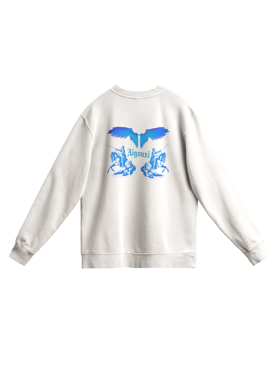 Mirrored Pigment Dyed Sweatshirt product image (5)