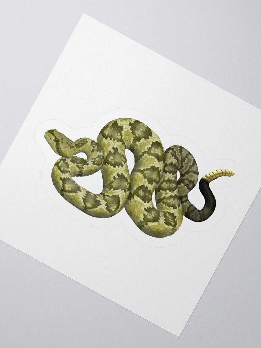 Die-Cut Sticker – Blacktailed Rattlesnake (Desert Phase) product image (2)