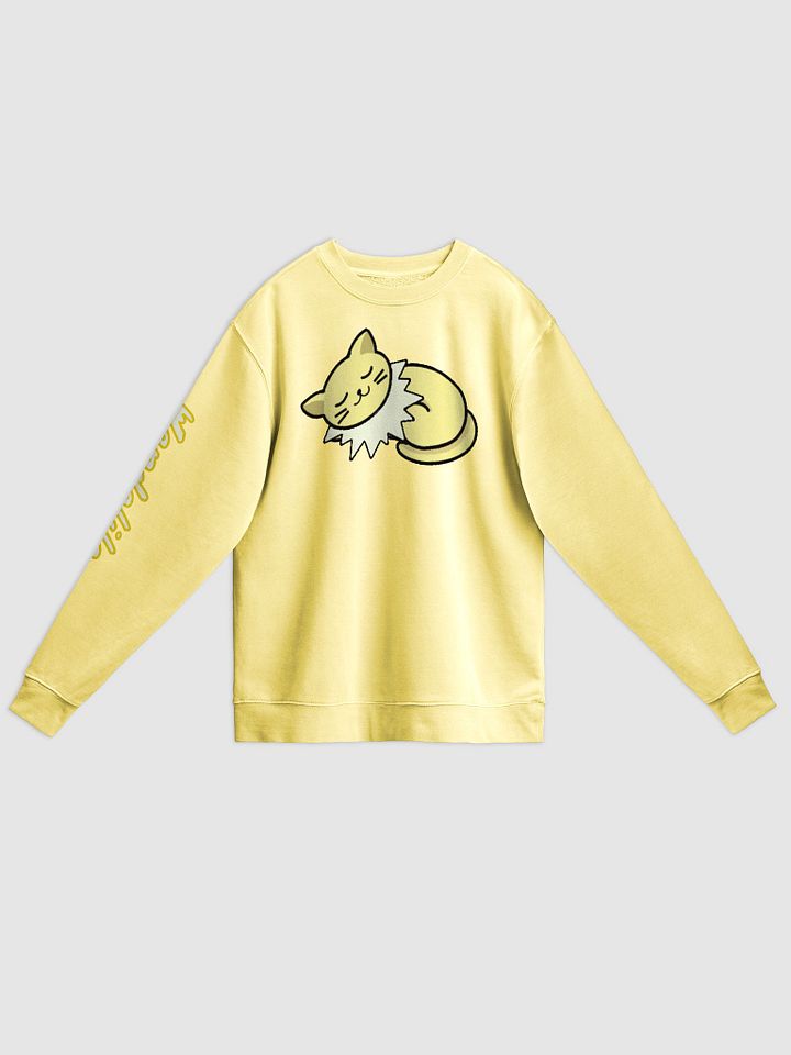 Special Cat Sleeping Sweatshirt product image (1)