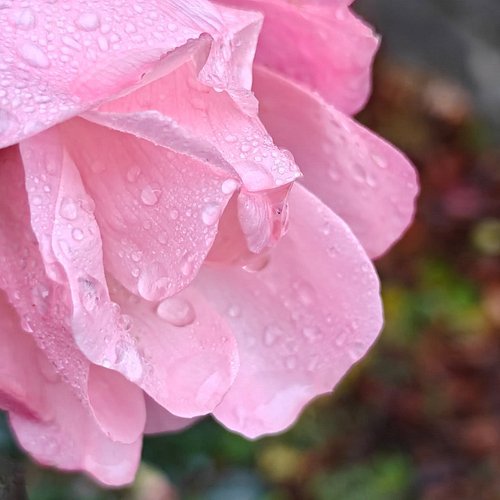 it is colder than it is wet