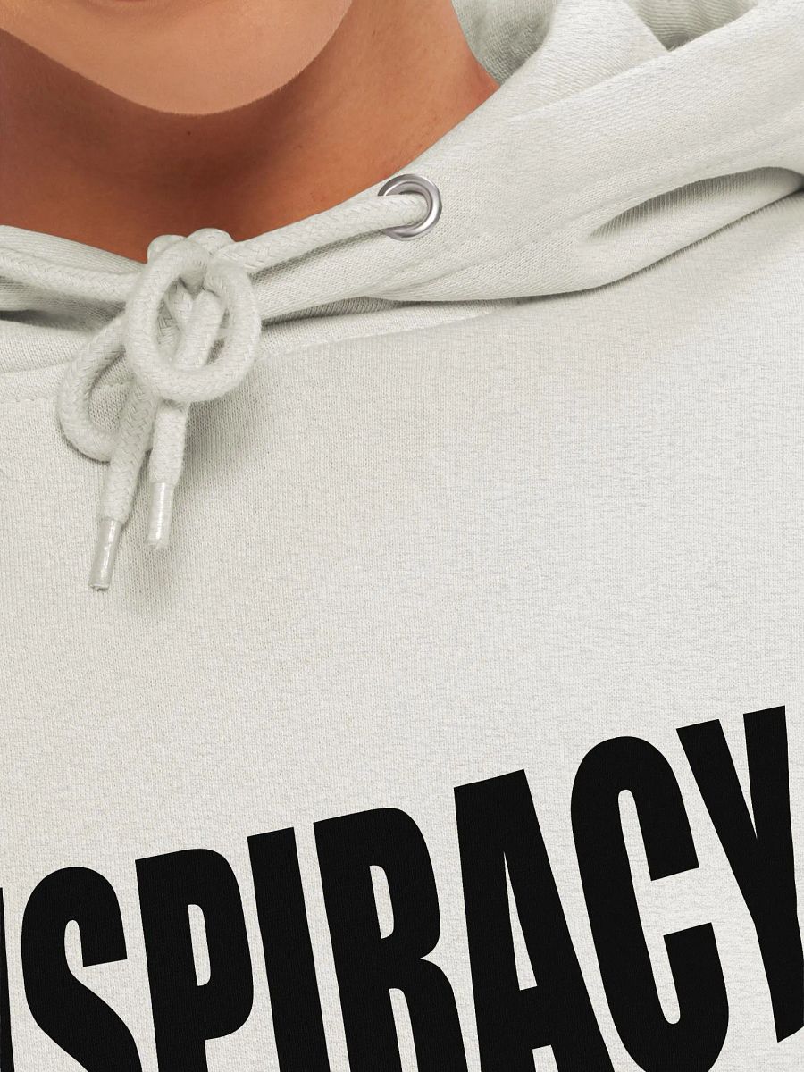 Conspiracy Leads To Spirituality - Lane Seven Premium Pullover Hoodie product image (7)