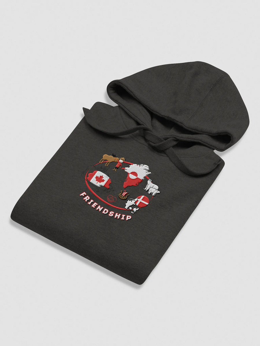 Arctic Unity Unisex Premium Hoodie - Embroidered - CanDenGreen product image (3)