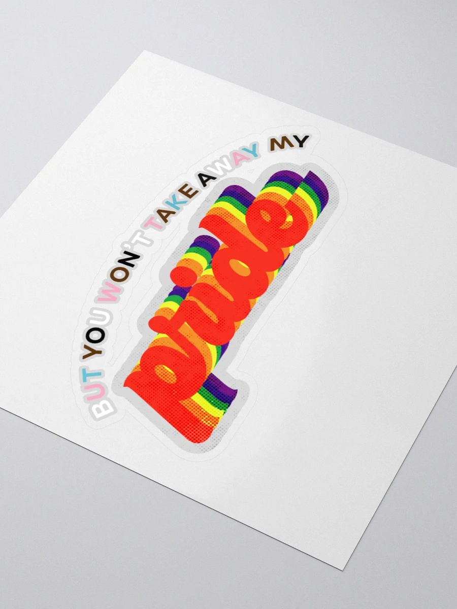 you won’t take away my pride - die cut sticker product image (3)