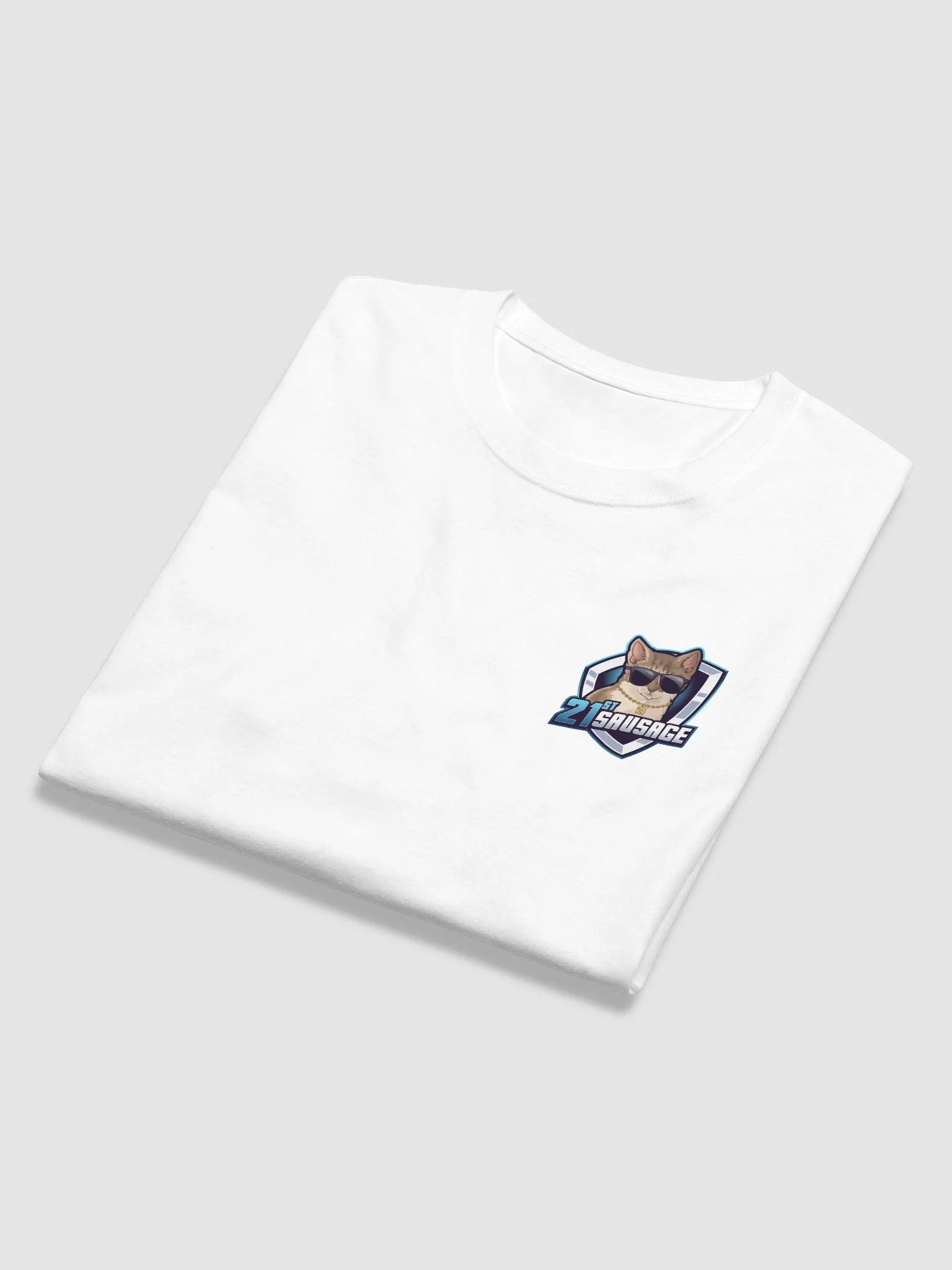 21st Sausage Long-Sleeved T (Champion) product image (11)
