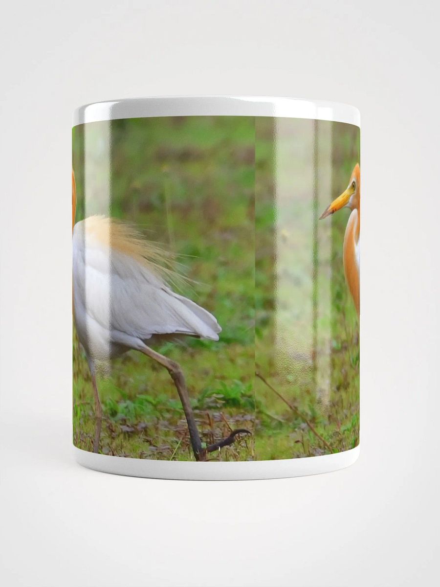 IUCAA Birds MUG product image (5)