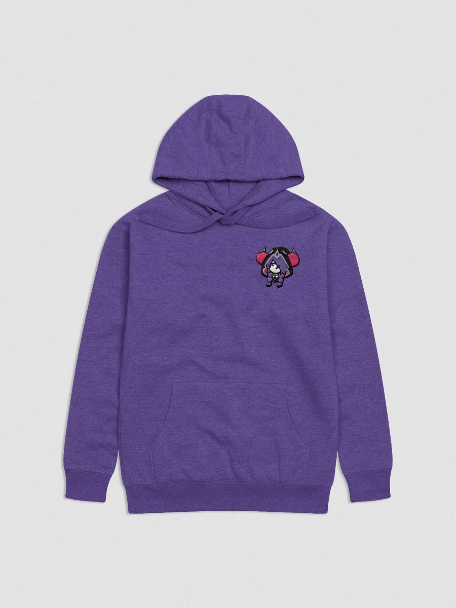 BiS Era Embroidered Hoodie (zzZ) +12 Alt. Colors product image (2)