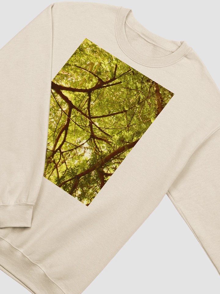 EARTH TONE BEIGE SWEATSHIRT product image (2)