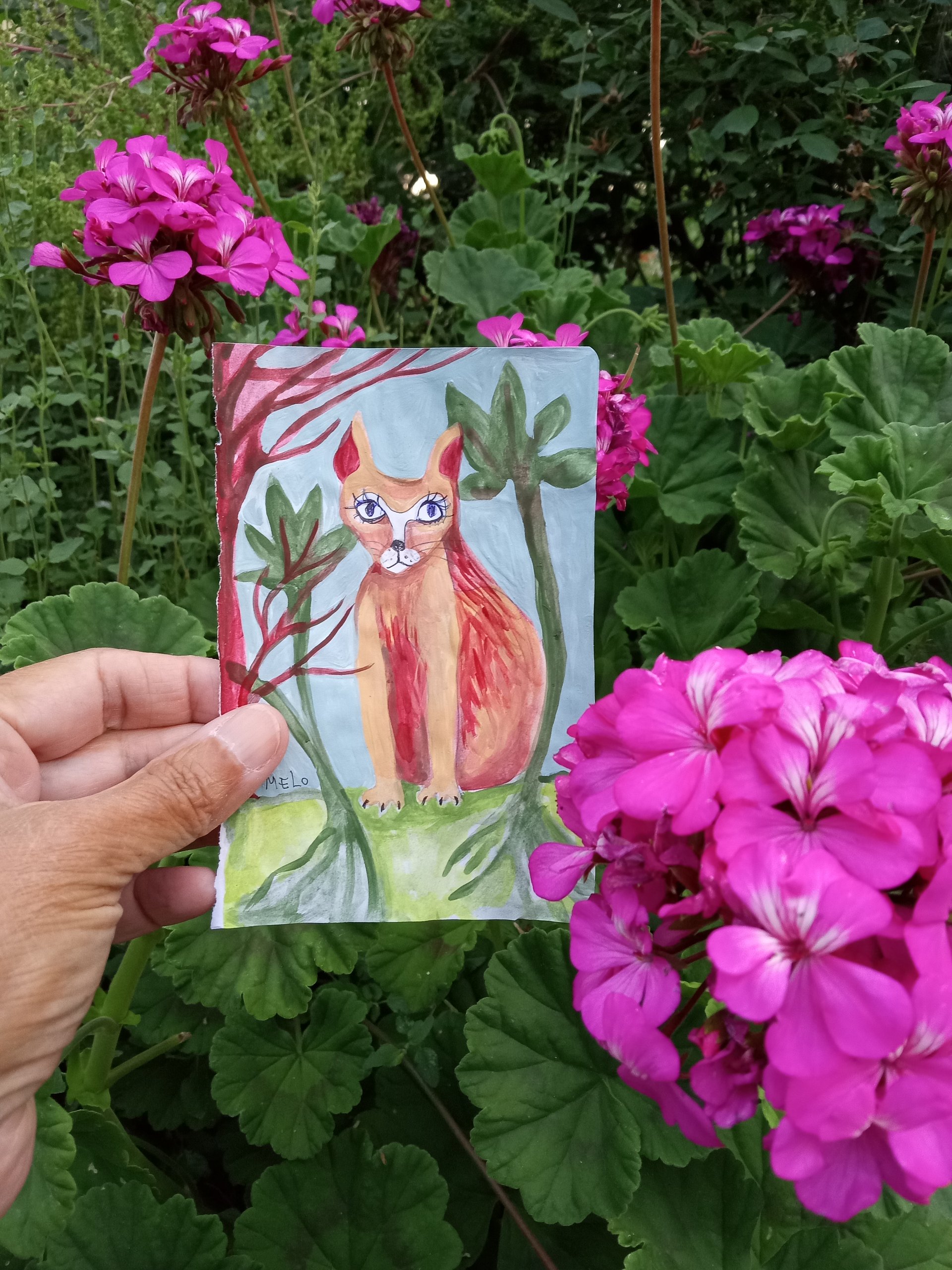 Orange Cat product image (3)