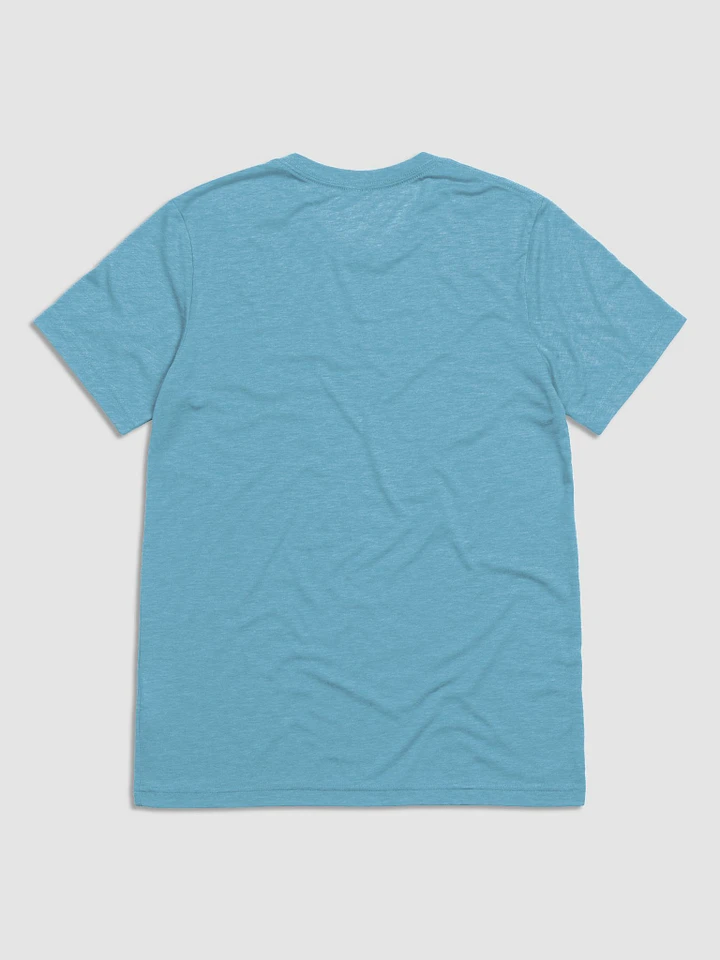 Holy Carp: Bella+Canvas Triblend Short Sleeve T-Shirt product image (14)