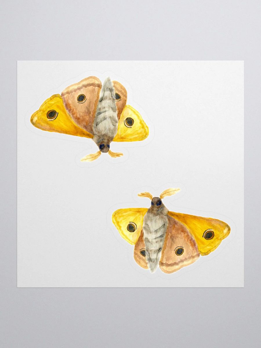 Small Emperor Moth Sticker (x2) product image (1)