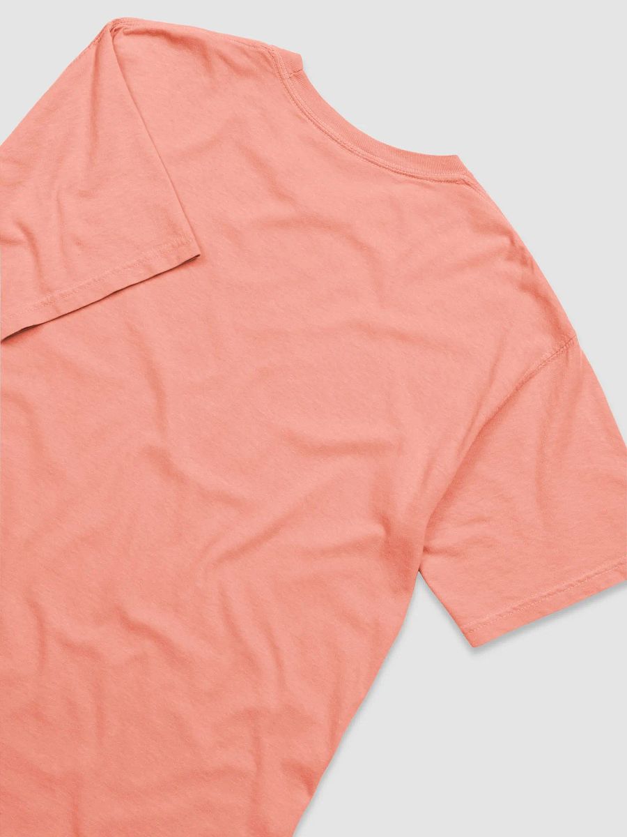 MSU Wake Zyn Tee product image (28)