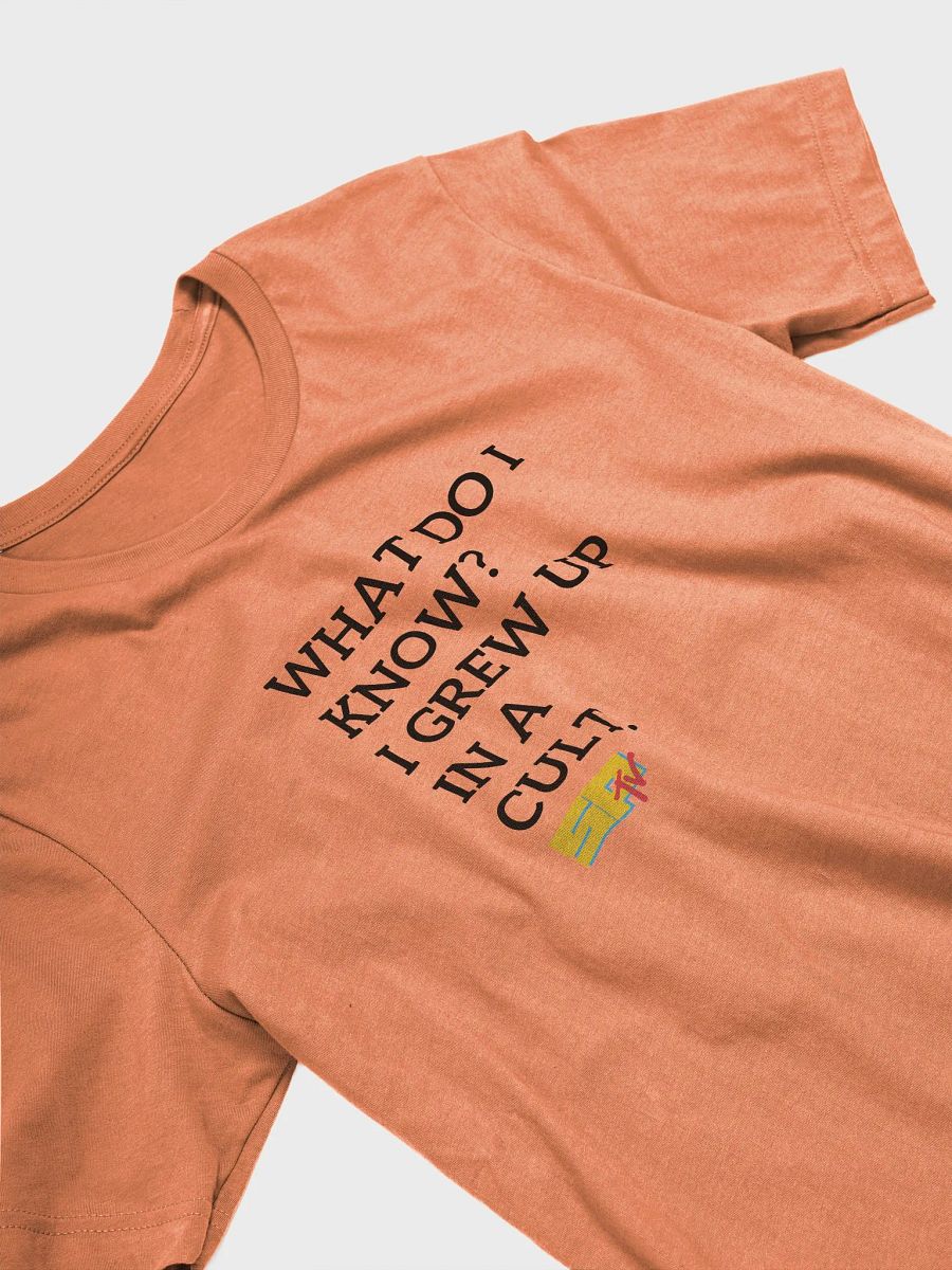 What Do I Know? Left. B on W. Bella Super Soft T-Shirt product image (26)