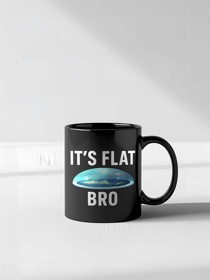 IT'S FLAT BRO Mug - Funny Flat Earth Coffee Cup, Conspiracy Theory Drinkware, Humorous Science Gift, Unique Statement Mug product image (7)