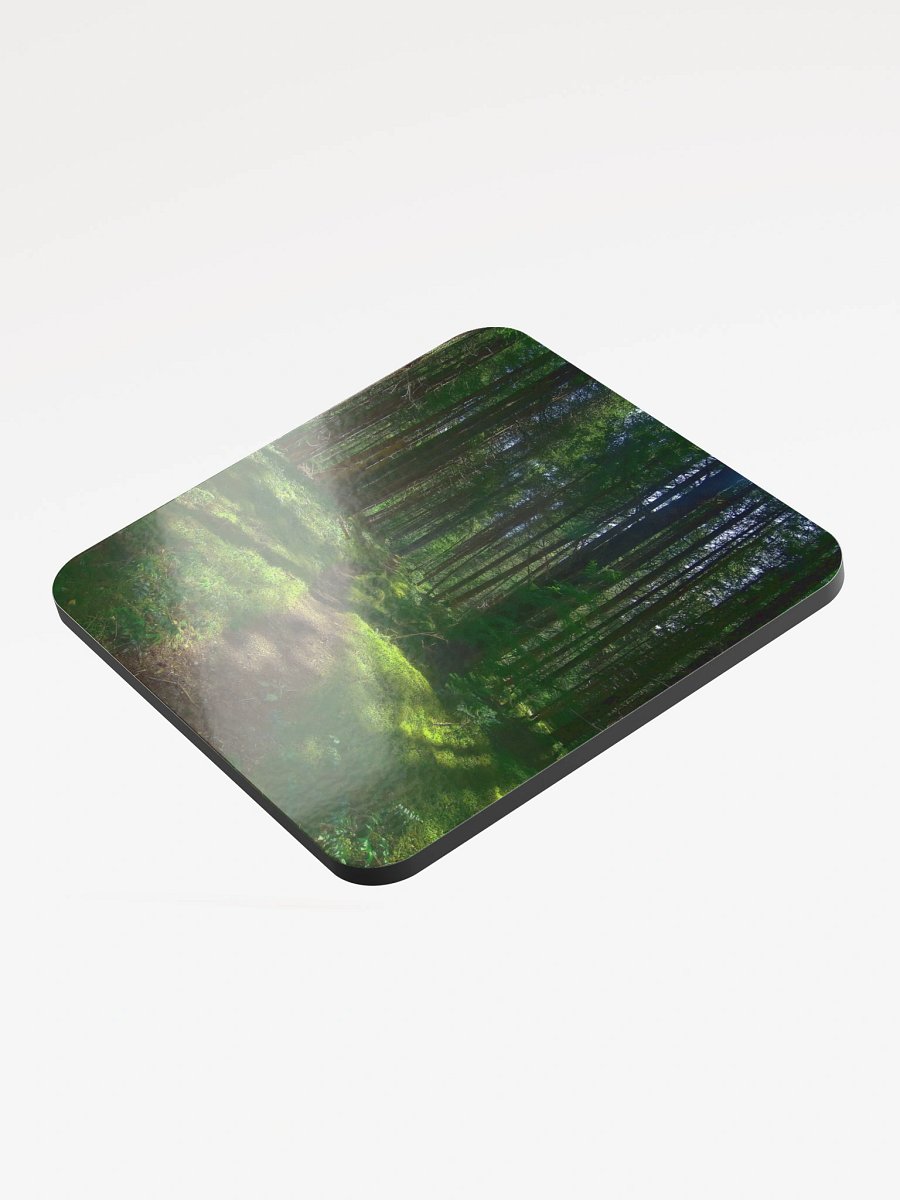 Lower Dungeness Trail Timber sun lighting Cork Coaster product image (3)