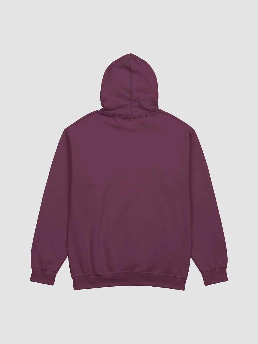 Vaporjelly classic hoodie product image (3)