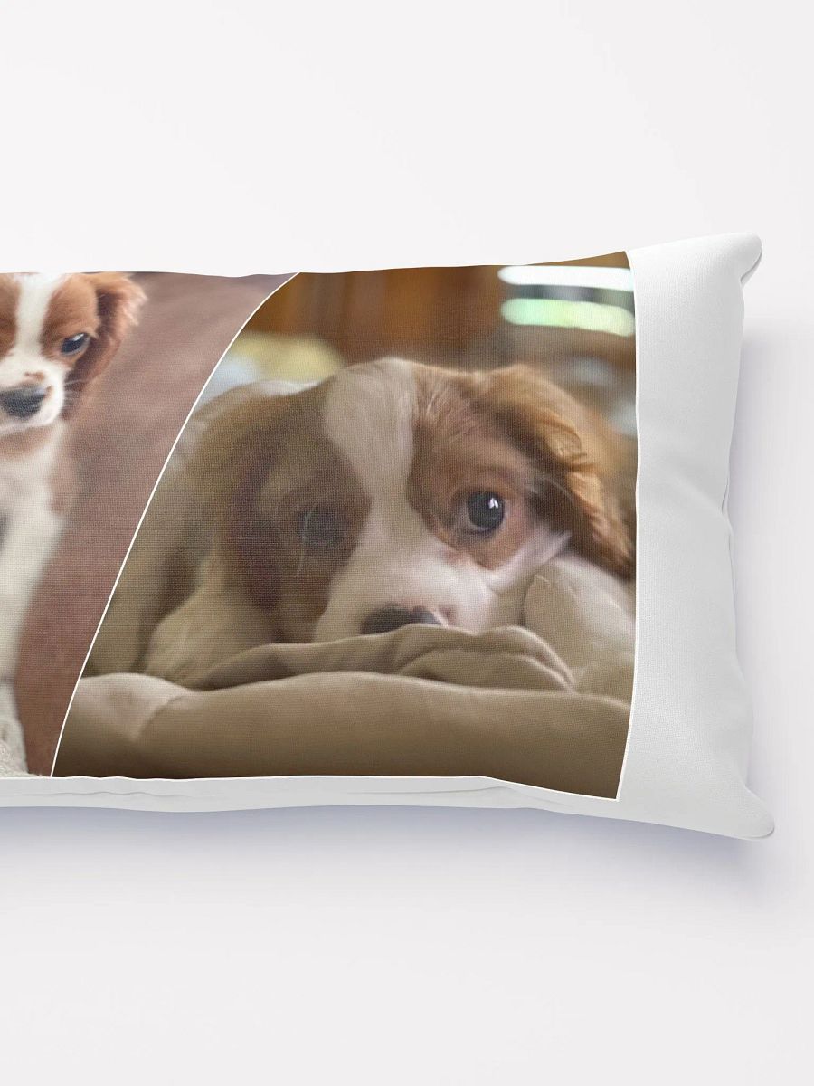 RBC Throw Pillow featuring Rio and Vienna product image (4)