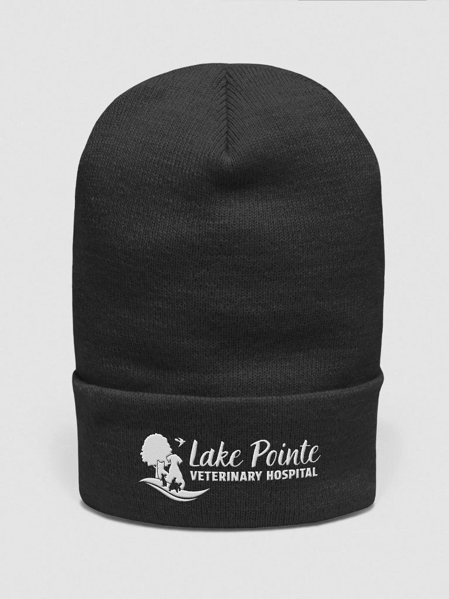 Elegant Embroidered Logo Beanie product image (14)