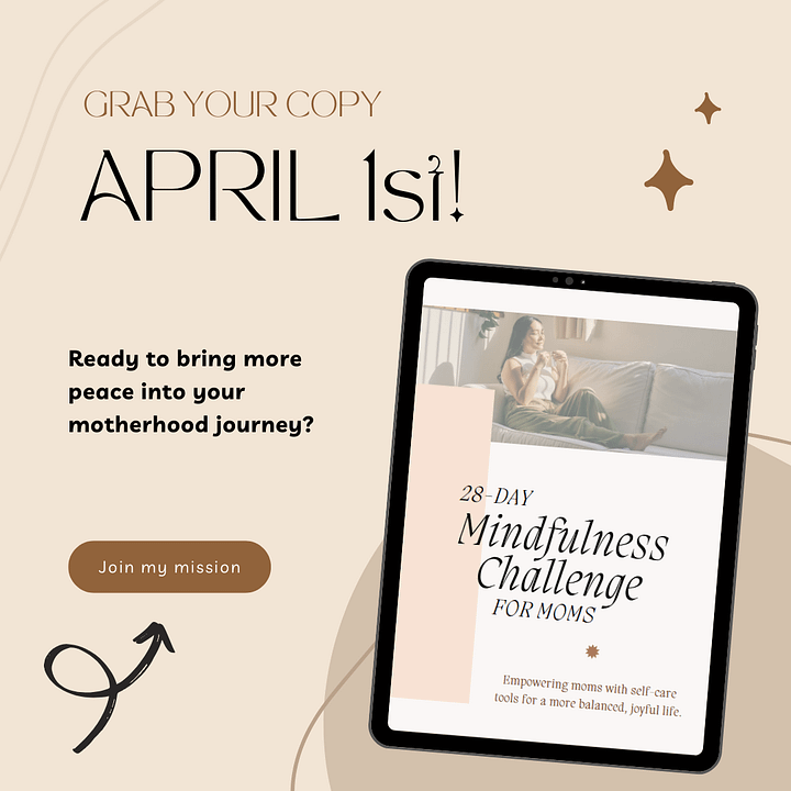 28-Day Mindfulness Challenge for Busy Moms eBook product image (1)